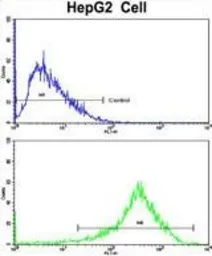 Anti-PON3 antibody, N-term used in Flow cytometry (FCM). GTX81152