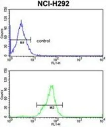 Anti-TOB1 antibody, N-term used in Flow cytometry (FCM). GTX81167
