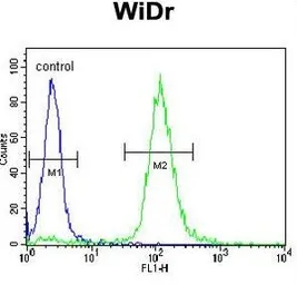 Anti-TrkA antibody used in Flow cytometry (FCM). GTX81329