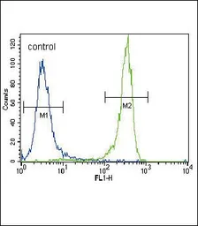 Anti-FGFR2 antibody, N-term used in Flow cytometry (FCM). GTX81342