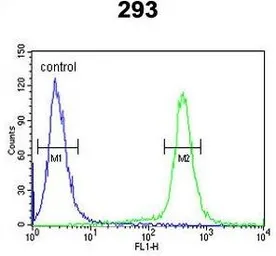 Anti-ESPN antibody, N-term used in Flow cytometry (FCM). GTX81675