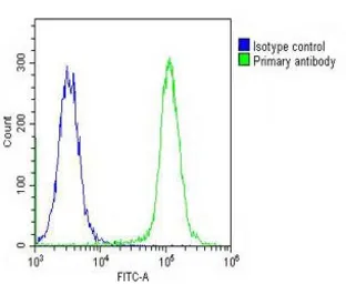 Anti-RAIN antibody, Internal used in Flow cytometry (FCM). GTX81679