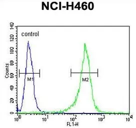 Anti-GNS antibody, Internal used in Flow cytometry (FCM). GTX81833