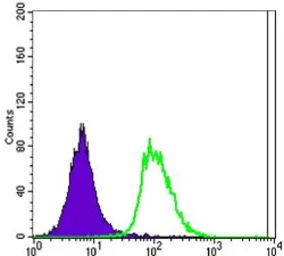 Anti-Oct4 antibody [7E7] used in Flow cytometry (FCM). GTX82755