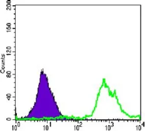 Anti-CD3 zeta antibody [4B10] used in Flow cytometry (FCM). GTX83004