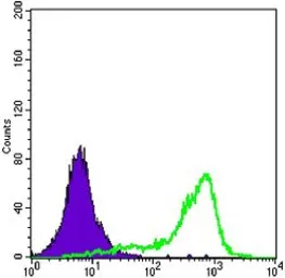 Anti-SOD1 antibody [6F5] used in Flow cytometry (FCM). GTX83012