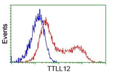 TTLL12 antibody [4B2]