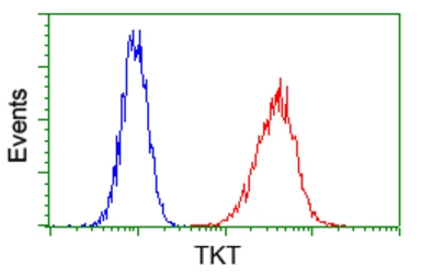 Anti-Transketolase antibody [5H3] used in Flow cytometry (FCM). GTX83510