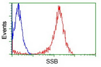 Anti-SSB antibody [9D6] used in Flow cytometry (FCM). GTX83557