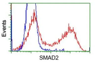 Anti-SMAD2 antibody [4G7] used in Flow cytometry (FCM). GTX83613