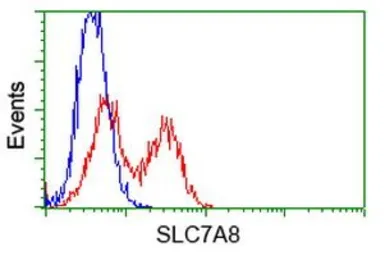 Anti-SLC7A8 antibody [5A9] used in Flow cytometry (FCM). GTX83618