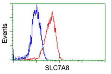 Anti-SLC7A8 antibody [4H10] used in Flow cytometry (FCM). GTX83621