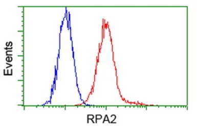 Anti-RPA32 antibody [1H10] used in Flow cytometry (FCM). GTX83691