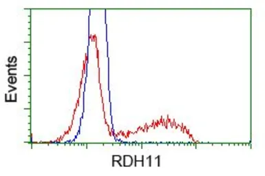 Anti-RDH11 antibody [1B4] used in Flow cytometry (FCM). GTX83716