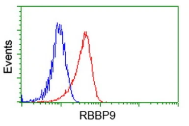 Anti-RBBP9 antibody [4G3] used in Flow cytometry (FCM). GTX83717