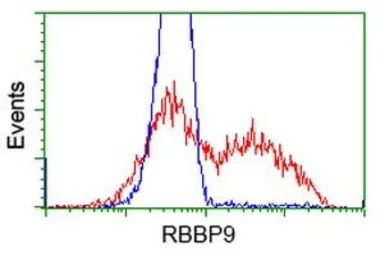 Anti-RBBP9 antibody [4G3] used in Flow cytometry (FCM). GTX83717