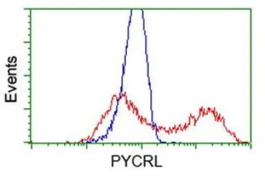 Anti-PYCRL antibody [2E10] used in Flow cytometry (FCM). GTX83750
