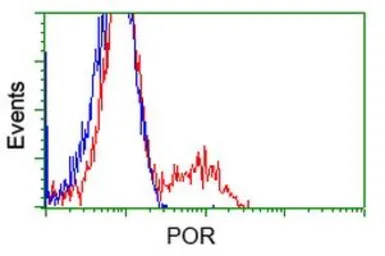 Anti-POR antibody [1B11] used in Flow cytometry (FCM). GTX83858