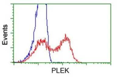 Anti-Pleckstrin antibody [4G6] used in Flow cytometry (FCM). GTX83874