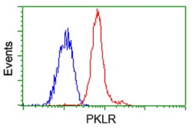Anti-Pyruvate Kinase (liver/RBC) antibody [1C7] used in Flow cytometry (FCM). GTX83878