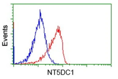 Anti-NT5DC1 antibody [3H2] used in Flow cytometry (FCM). GTX83991