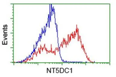 Anti-NT5DC1 antibody [3H2] used in Flow cytometry (FCM). GTX83991