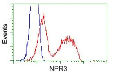 Anti-NPR-C antibody [11B5] used in Flow cytometry (FCM). GTX84015