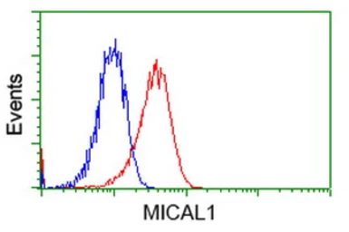 Anti-MICAL1 antibody [4B1] used in Flow cytometry (FCM). GTX84121