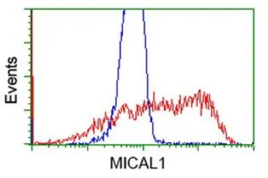 Anti-MICAL1 antibody [4B1] used in Flow cytometry (FCM). GTX84121