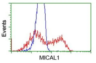 Anti-MICAL1 antibody [6H10] used in Flow cytometry (FCM). GTX84126