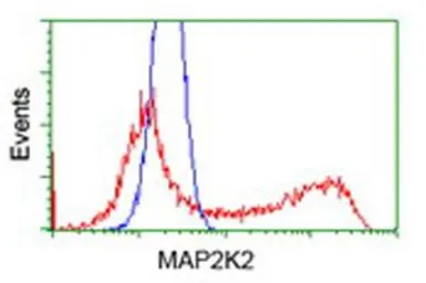 Anti-MEK2 antibody [8G6] used in Flow cytometry (FCM). GTX84165