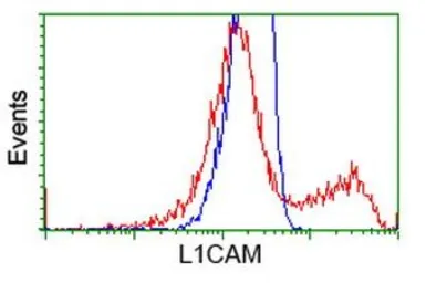 Anti-L1CAM antibody [1A8] used in Flow cytometry (FCM). GTX84236
