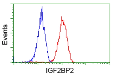 Anti-IGF2BP2 antibody [3F9] used in Flow cytometry (FCM). GTX84306