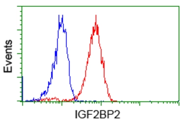 Anti-IGF2BP2 antibody [3F9] used in Flow cytometry (FCM). GTX84306