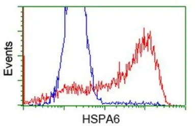 Anti-HSPA6 antibody [1H3] used in Flow cytometry (FCM). GTX84333