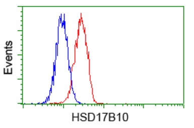 Anti-ERAB antibody [10B4] used in Flow cytometry (FCM). GTX84346