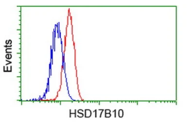 Anti-ERAB antibody [11A2] used in Flow cytometry (FCM). GTX84347