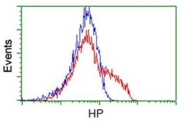 Anti-Haptoglobin antibody [4H5] used in Flow cytometry (FCM). GTX84352
