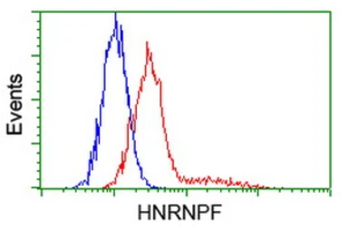 Anti-hnRNP F antibody [5F5] used in Flow cytometry (FCM). GTX84356