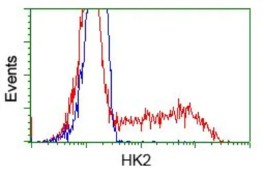 Anti-Hexokinase II antibody [4C5] used in Flow cytometry (FCM). GTX84357
