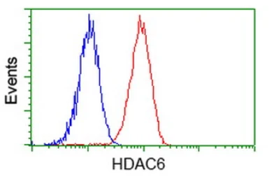 Anti-HDAC6 antibody [4C5] used in Flow cytometry (FCM). GTX84377