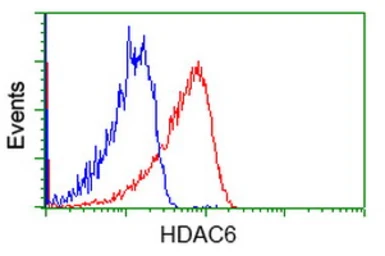 Anti-HDAC6 antibody [4C5] used in Flow cytometry (FCM). GTX84377