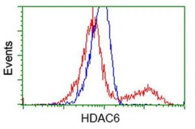 Anti-HDAC6 antibody [4C5] used in Flow cytometry (FCM). GTX84377