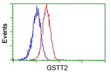 Anti-GSTT2 antibody [8A10] used in Flow cytometry (FCM). GTX84398