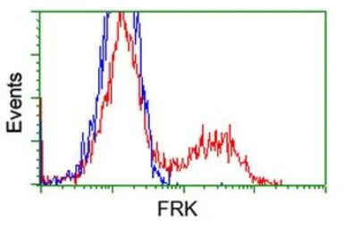 Anti-FRK antibody [6D2] used in Flow cytometry (FCM). GTX84481