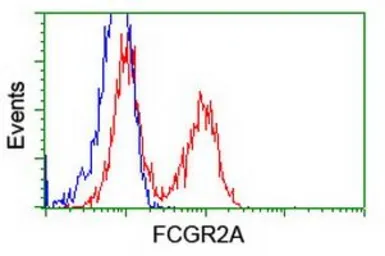 Anti-CD32a antibody [16D6] used in Flow cytometry (FCM). GTX84509