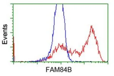 Anti-FAM84B antibody [4A4] used in Flow cytometry (FCM). GTX84525