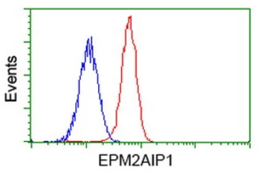 Anti-EPM2AIP1 antibody [1F11] used in Flow cytometry (FCM). GTX84561