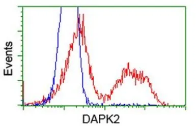 Anti-DAP Kinase 2 antibody [1C5] used in Flow cytometry (FCM). GTX84631