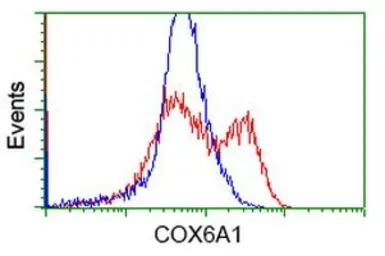 Anti-COX6A1 antibody [4G2] used in Flow cytometry (FCM). GTX84671